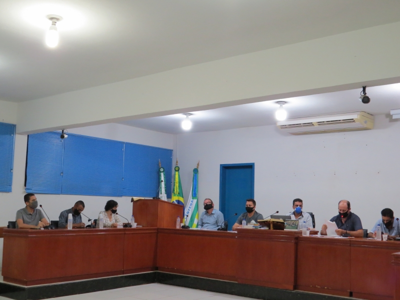 11ª REUNIÃO ORDINÁRIA DE 2021